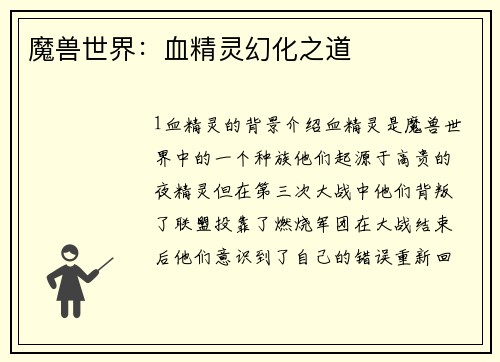 魔兽世界：血精灵幻化之道